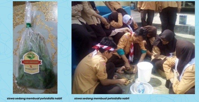 Sayuran Organik Hasil Kebun Siswa Al Madinah
